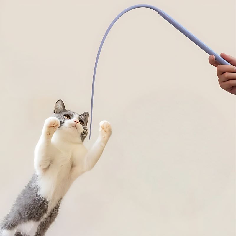 Interactive cat teaser stick toy with silicone wand for kitten play, exercise, and anxiety relief.