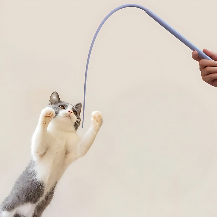 Interactive cat teaser stick toy with silicone wand for kitten play, exercise, and anxiety relief.