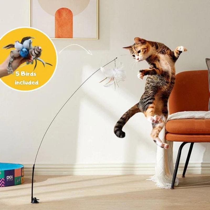 Interactive cat toy with suction cup base, featuring a colorful bird design to engage feline play and provide indoor entertainment.