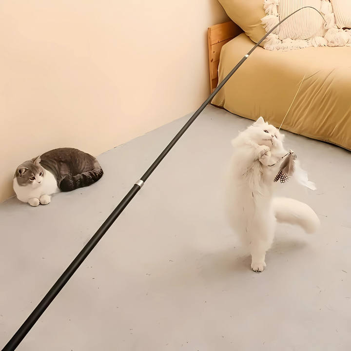 Interactive cat wand toy with a natural feather attachment for active indoor feline play & exercise. Extendable carbon fiber.