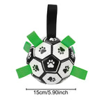 Paw Print