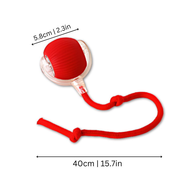 Rechargeable interactive dog toy for mental & physical fun. Great indoor chase toy for active dogs & pet entertainment.