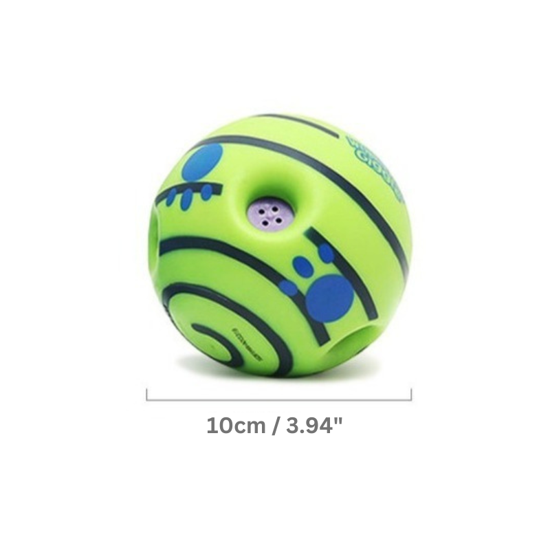 Dog playing with interactive chuckle ball. Promotes physical activity, mental stimulation & anxiety relief for pets.