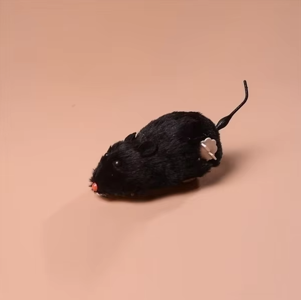 Feline fun with this interactive electric mouse cat toy. Ideal for pet play & stimulating hunting skills.