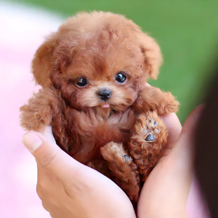 Interactive robot puppy toy, a smart electronic pet for kids. Features plush fur, perfect companion & gift.