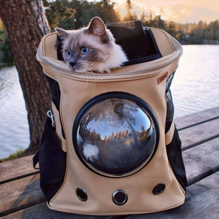 "Large cat travel backpack with bubble window, spacious with a panoramic view, mesh openings for comfort and security."