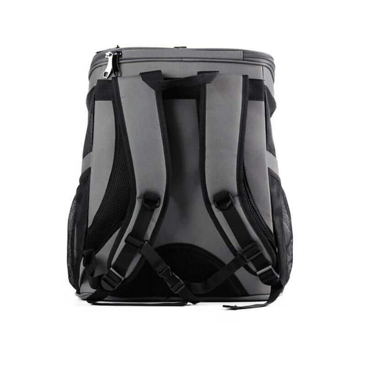 "Large cat travel backpack with bubble window, spacious with a panoramic view, mesh openings for comfort and security."