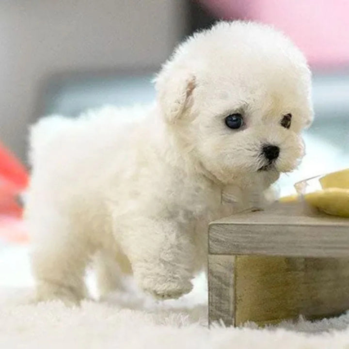 Plush interactive robot puppy, a smart pet companion for all ages. Realistic design, travel friendly, brown & white.