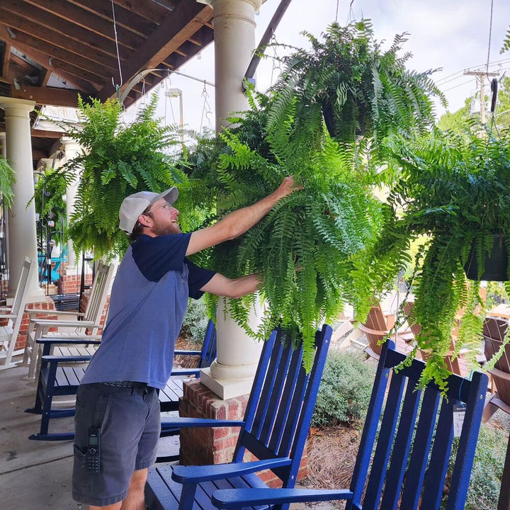 Lifelike, vibrant artificial Boston fern, UV-resistant, 18 lush branches, perfect for outdoor decor, low maintenance garden p