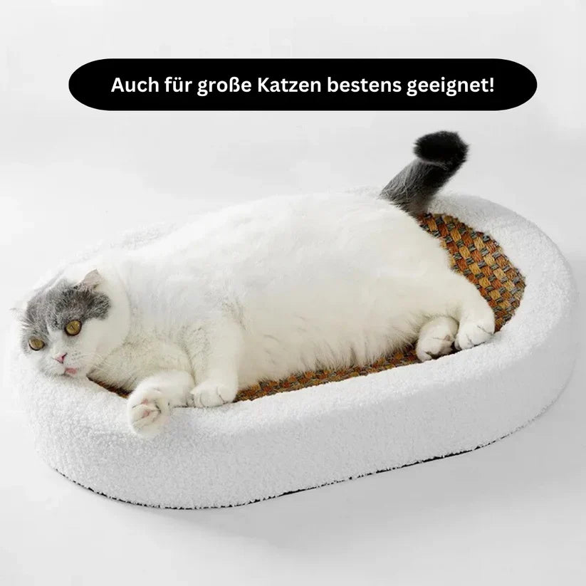 Modern cat bed and scratching post; stylish, durable cat furniture, a comfortable pet accessory.