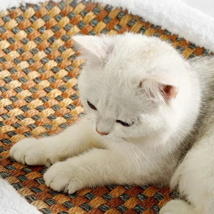 Durable premium cat bed and scratcher combo, a modern pet furniture piece providing comfort and play.