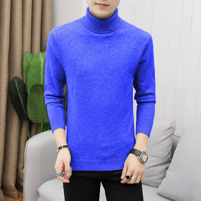Versatile men's turtleneck pullover. Classic knit sweater, suitable for sophisticated casual & formal wear.