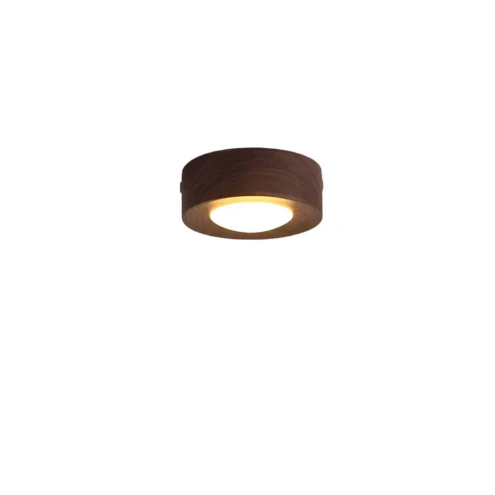 Natural wood LED ceiling light with minimalist round design, modern home decor accent.
