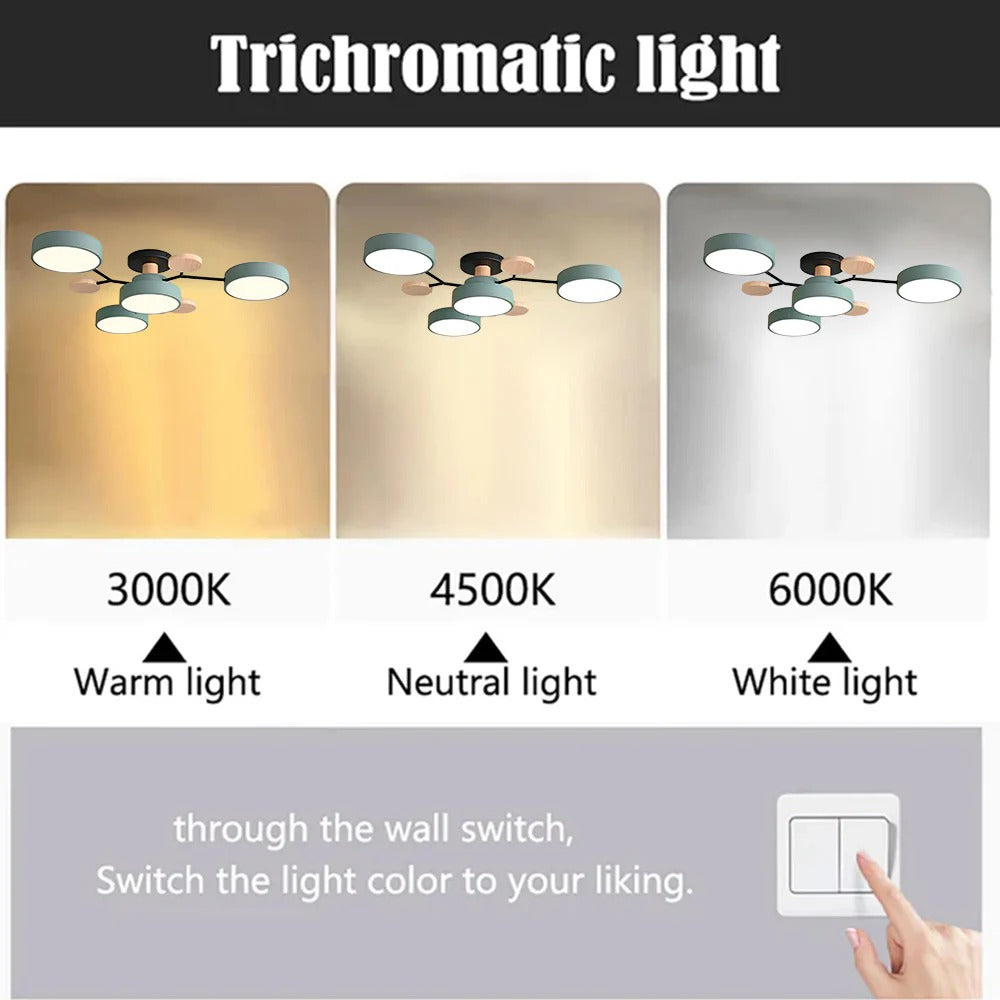 Modern LED ceiling light chandelier with sleek, minimalist design; iron and acrylic materials illuminate living rooms.