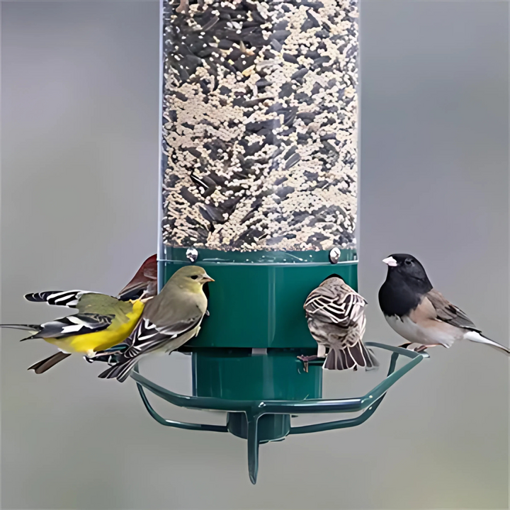 Outdoor squirrel-proof bird feeder with spinning perch, durable metal design, prevents squirrel access, large seed capacity.