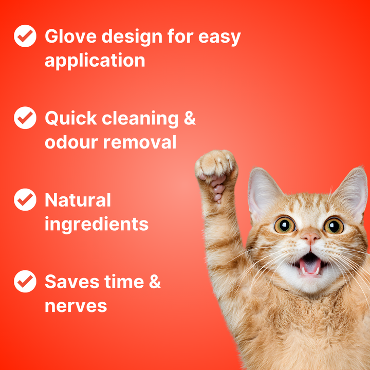 Owner using PetPure Grooming Wipes for a quick, no-rinse clean, keeping their dog fresh between baths.