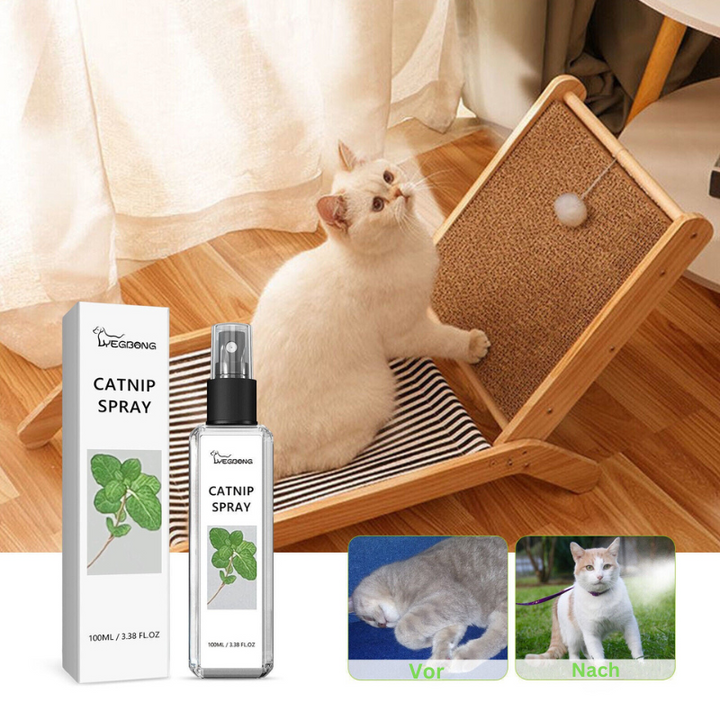 Cat's Silvervine Spray for playful stimulation & calming stress relief. Natural feline enrichment.