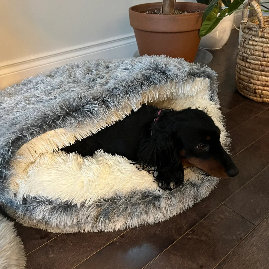Plush pet snuggle cave bed, ideal for cats & small dogs seeking warmth & security. Washable, round, calming comfort.