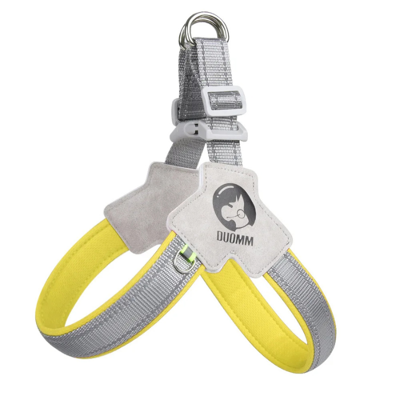 Happy dog wearing a reflective, breathable dog harness for safe and comfortable outdoor walks at night.