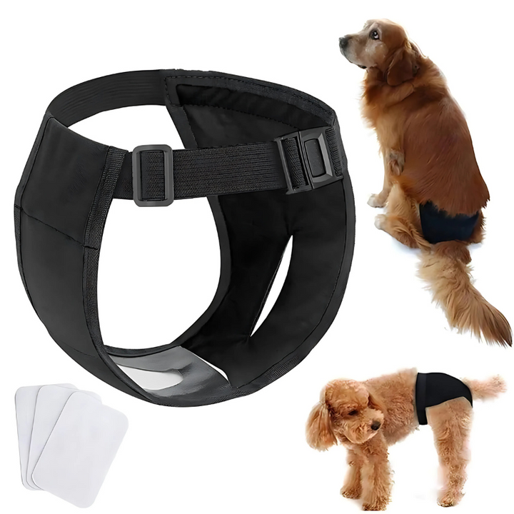 Reusable dog diaper pants for female dogs in heat or incontinence. Washable pet wear for mess protection & comfort.