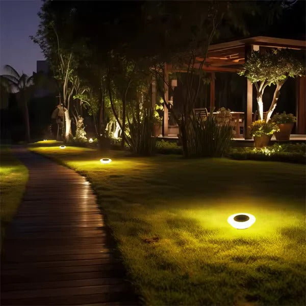 Bright LED solar garden stake light, rust-proof & IP65 weatherproof. Ideal for illuminating outdoor pathways & gardens.