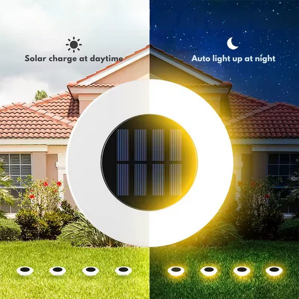 Versatile solar garden stake light, rust-proof, IP65 weatherproof. Enhances garden aesthetics and lights pathways.