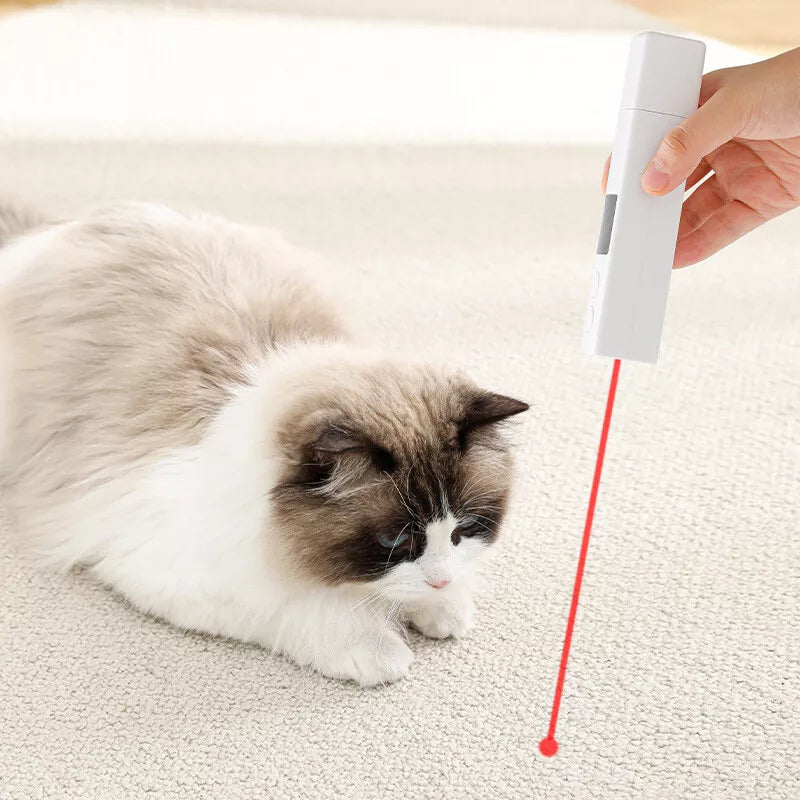Advanced pet nail trimmer with LED screen and quiet design, ideal for sensitive dogs & cats' paw care.