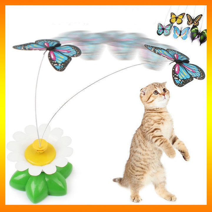 Close-up of a vibrant butterfly cat toy fluttering, encouraging active play and entertainment for felines.