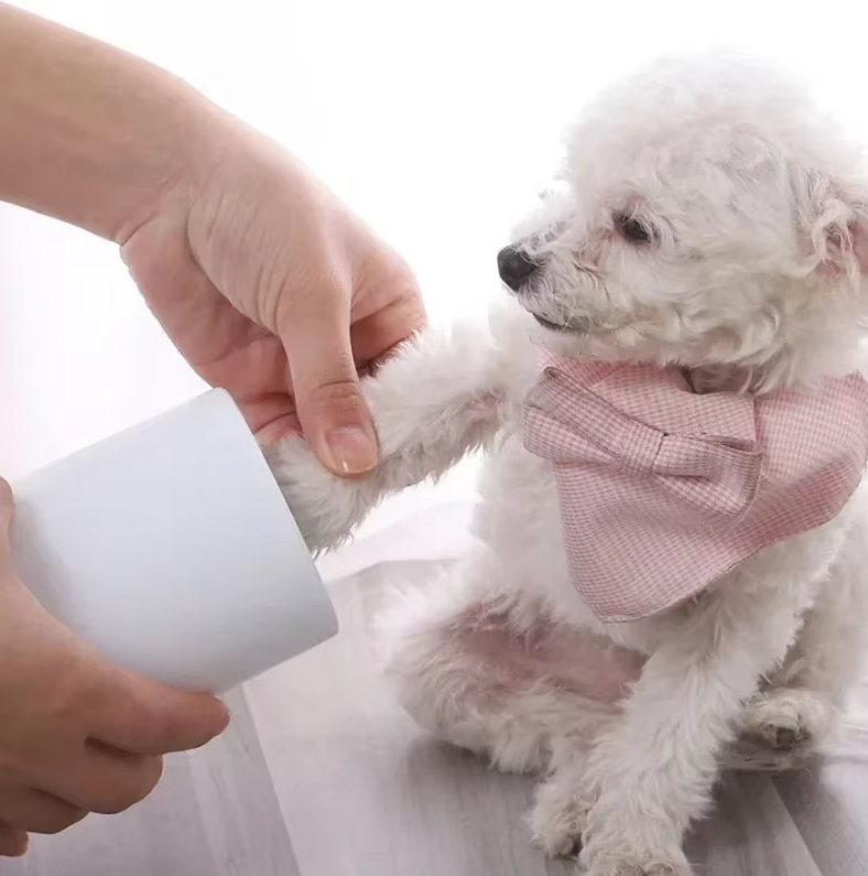 Gentle silicone paw cleaner for pets, featuring soft bristles for thorough yet gentle cleaning of sensitive paws. Portable and eco-friendly, ideal for dogs and cats.