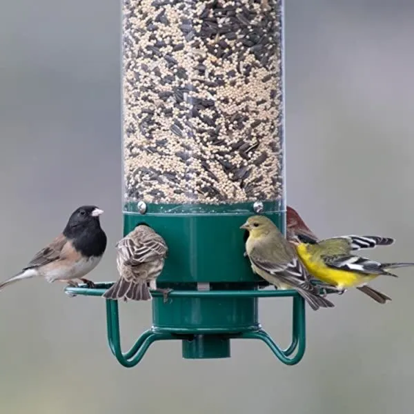 Squirrel-proof wild bird feeder with a spinning guard, perfect for garden birdwatching & backyard wildlife.