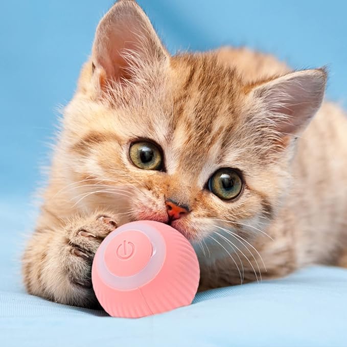 Interactive LED cat play ball for feline exercise. Rechargeable automatic pet toy keeps cats active & entertained.