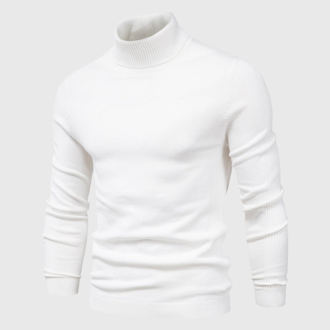 Comfortable men's pullover, classic roll neck style for sophisticated winter wear.