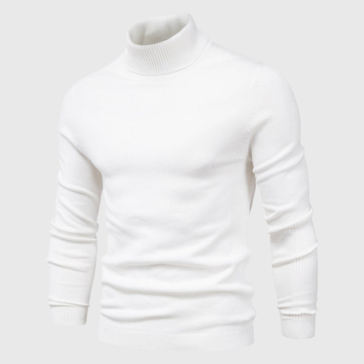 Comfortable men's pullover, classic roll neck style for sophisticated winter wear.