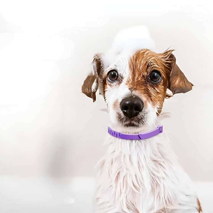 Tranquiloo pet calming collar for dogs & cats, reducing anxiety & stress with pheromone relief. Ideal for separation.