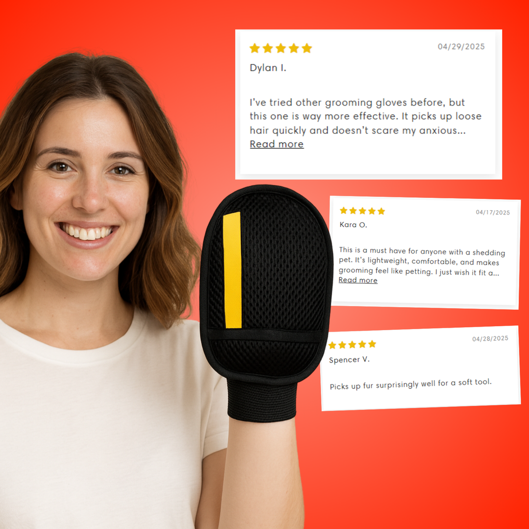 Pet hair remover glove for cats, dogs, & other pets. Gentle fur removal, grooming, & massage for a clean home.