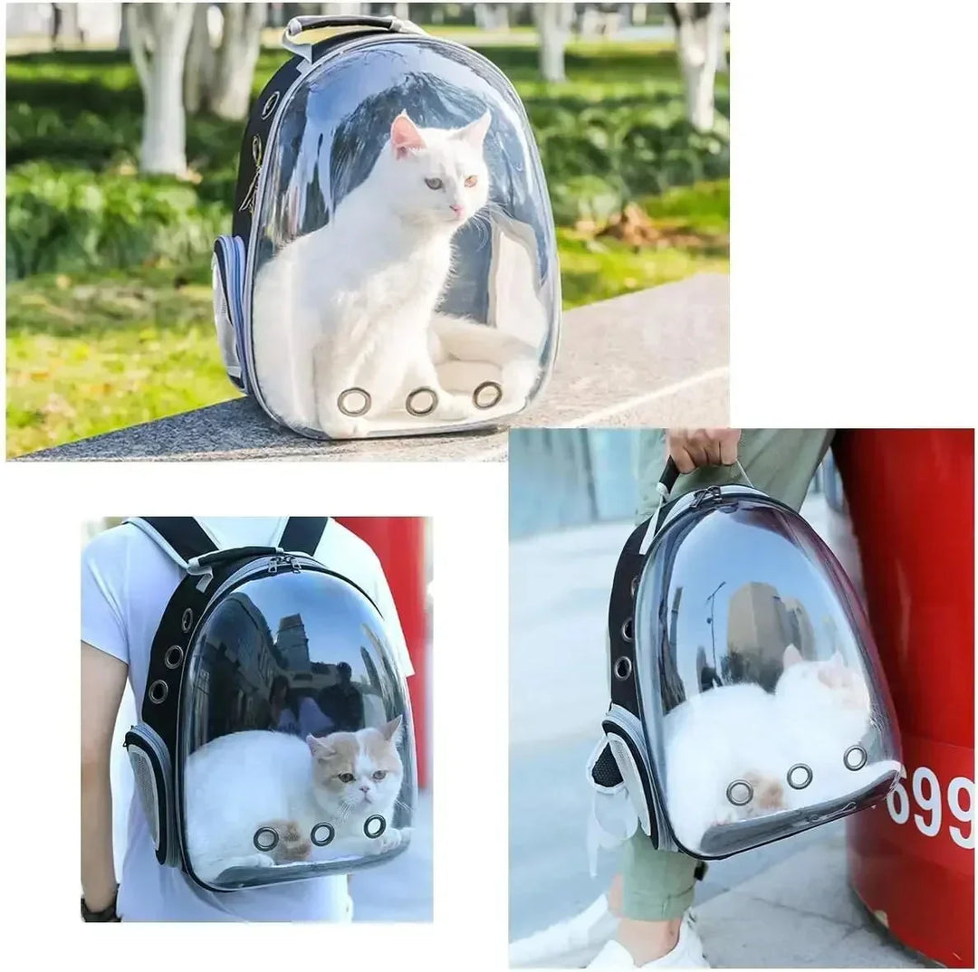 Safe car pet carrier, portable for dogs & cats. Essential pet travel accessory.