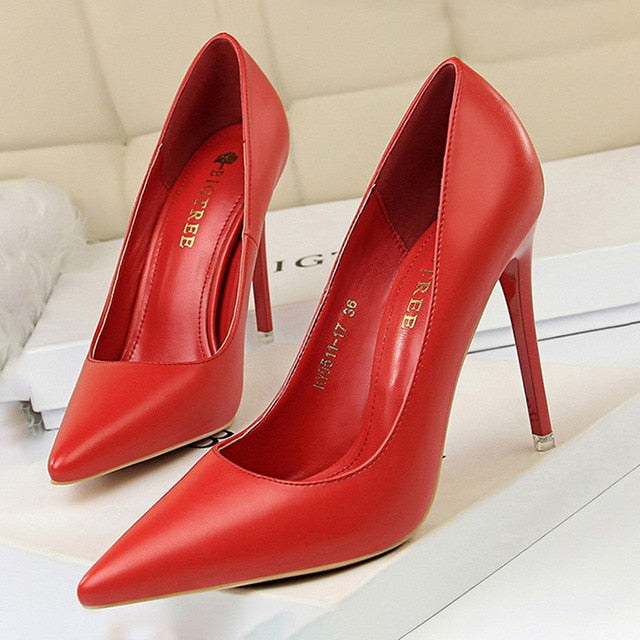 Stylish women's high heel pumps with pointed toe, perfect elegant fashion footwear for formal occasions.