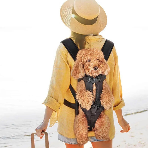 "Versatile dog carrier backpack for hiking, shown in green. Secure multi-buckle design keeps pets safe and comfortable outdoo
