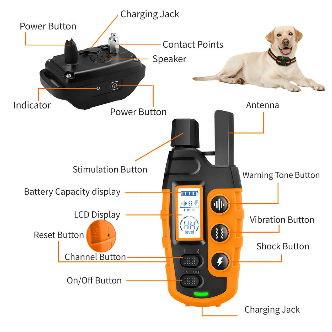 Waterproof rechargeable e-collar for dog training, black strap, remote control, fits all sizes, for outdoor use, pet supplies