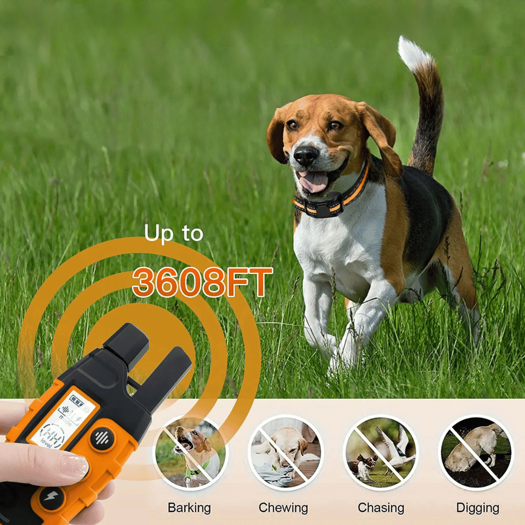 Waterproof rechargeable e-collar for dog training, black strap, remote control, fits all sizes, for outdoor use, pet supplies
