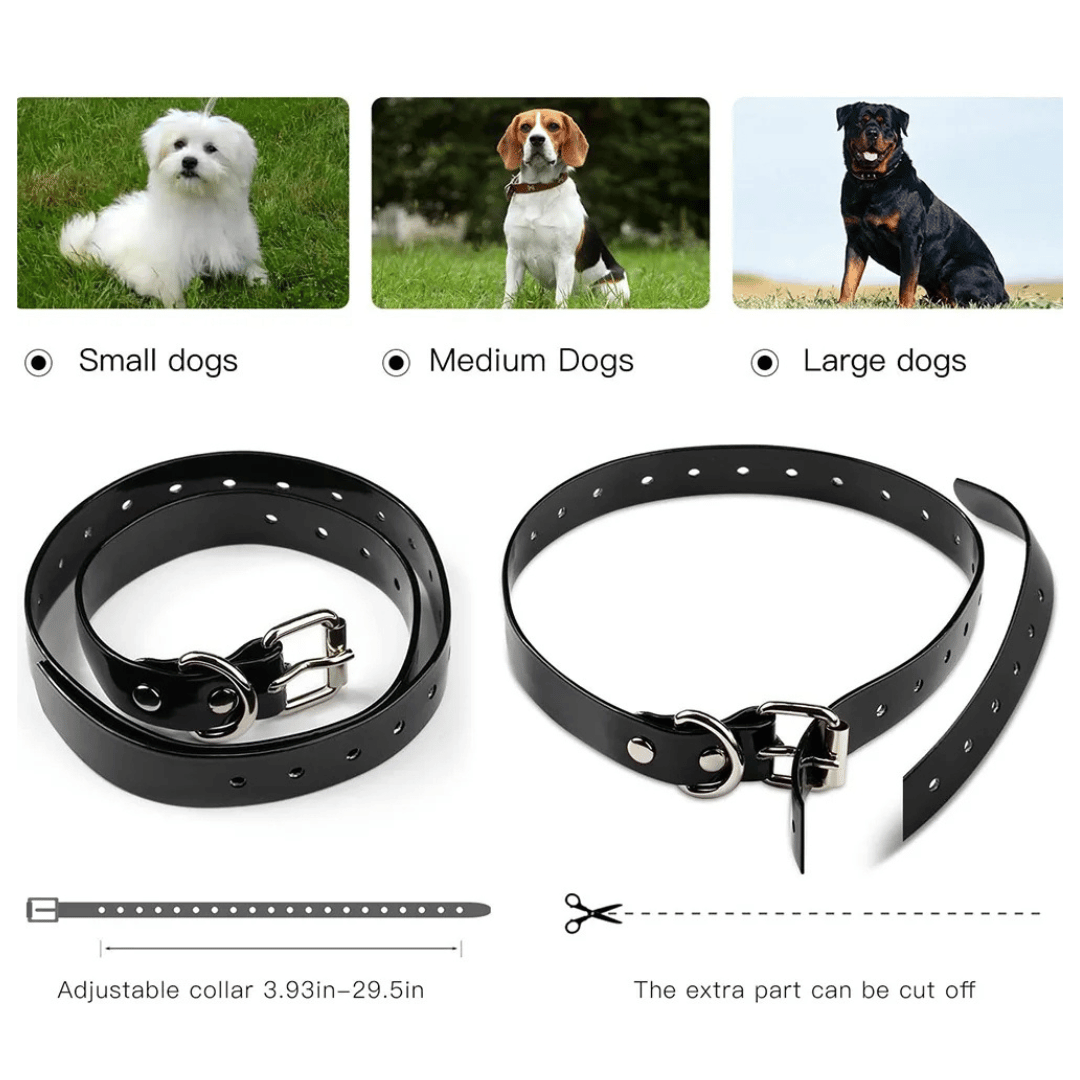 "Waterproof rechargeable remote-controlled dog training collar with adjustable fit and multiple training modes for all dogs."