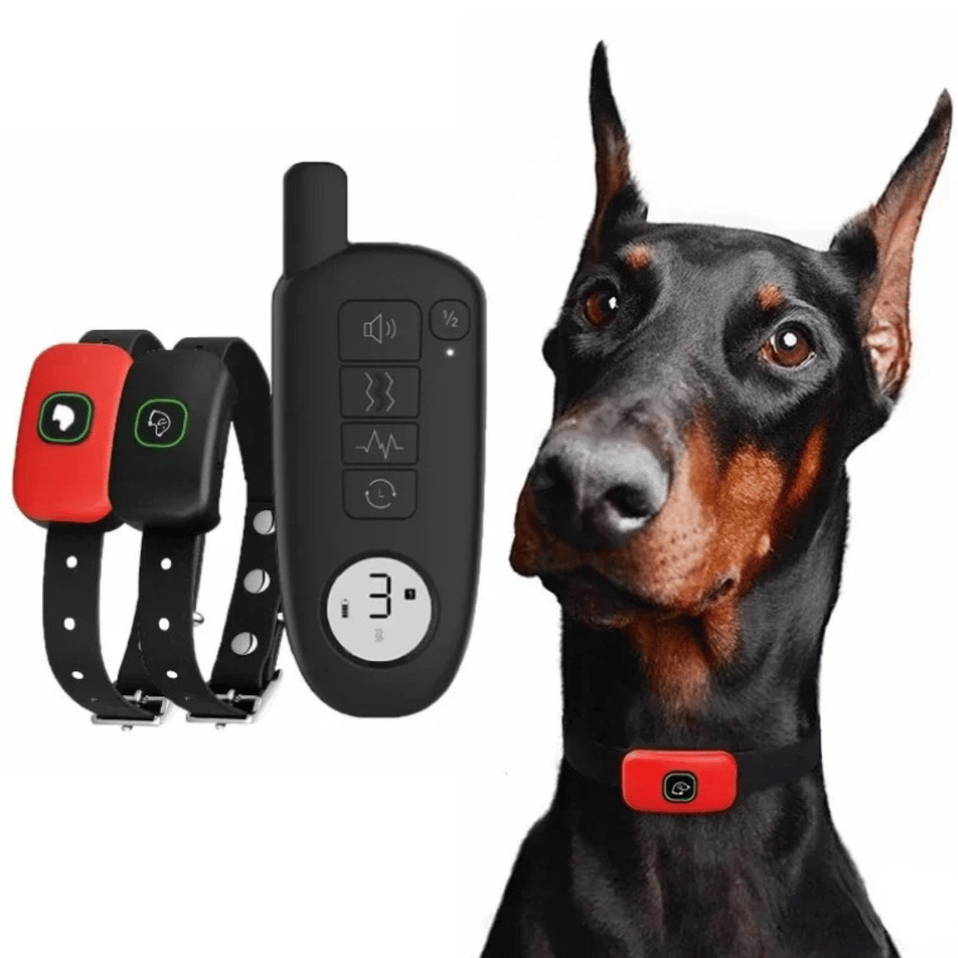 "Waterproof smart dog training collar with remote, 300m range, durable design for effective indoor/outdoor pet training."