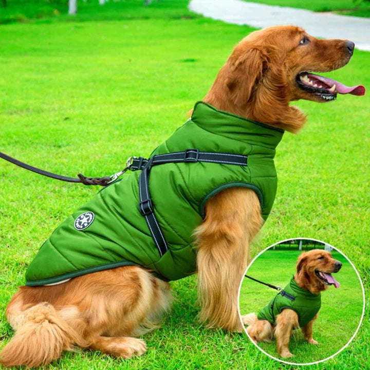 Stylish waterproof winter dog coat with a built-in harness, offering warmth and visibility for pets.