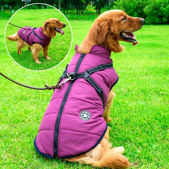 Heavy-duty waterproof dog winter jacket & harness combo, providing warmth, protection, & reflective safety.