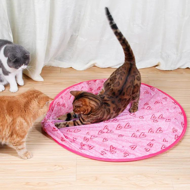 WhiskerFun automatic rolling cat play ball toy, engaging kittens & indoor cats with interactive chase.