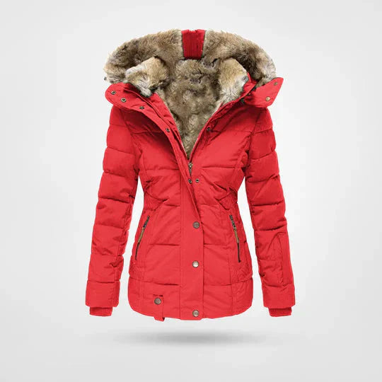 Women's winter jacket: sleek, water-resistant design with a cozy, insulated lining for warmth in snowy conditions.